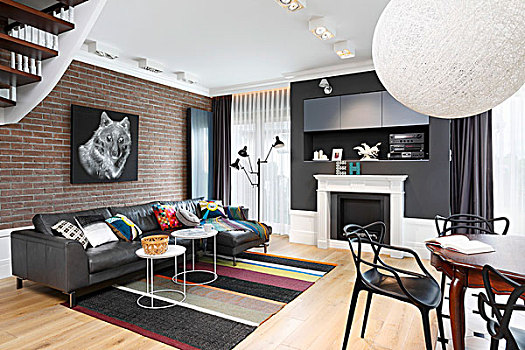 黑色,家具,图案,动物,砖墙,现代生活,房间