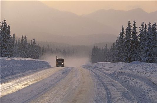 交通工具,冬天,基奈,阿拉斯加