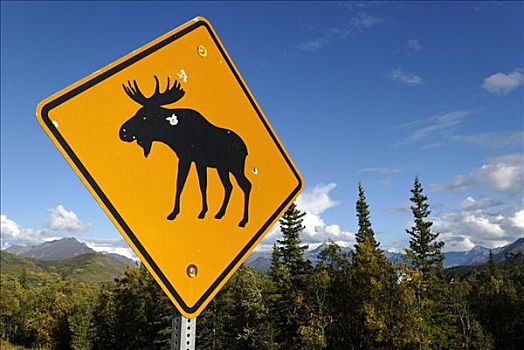 驼鹿,麋鹿,标识,阿拉斯加,美国