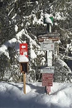 标志牌,越野滑雪,上巴伐利亚,德国,萨尔茨堡,奥地利