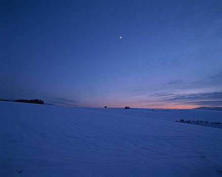 雪原,月亮