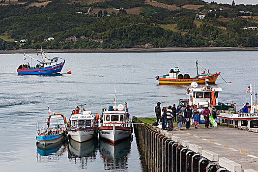 智利渔场图片