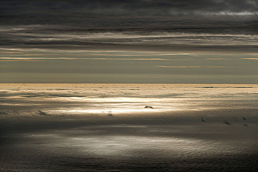 太阳,反射,海面,云,法罗群岛,丹麦,欧洲