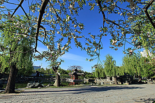 北京西城区大观园