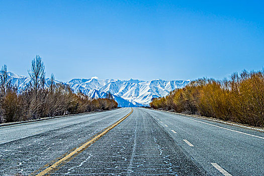 新疆,雪山,公路,秋色