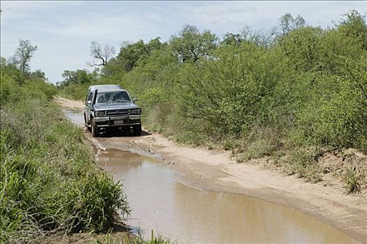 汽车,泥,乡间小路,巴拉圭,南美
