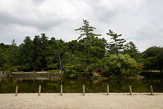 日本,奈良,东大寺