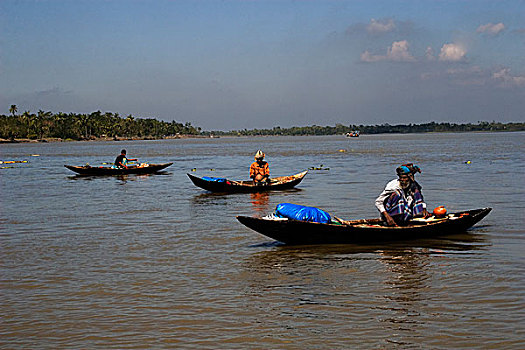 抓住,龙虾,河,孟加拉,十月,2007年