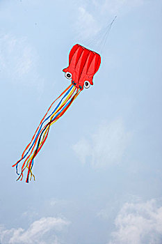云南昆明世博会上空的风筝