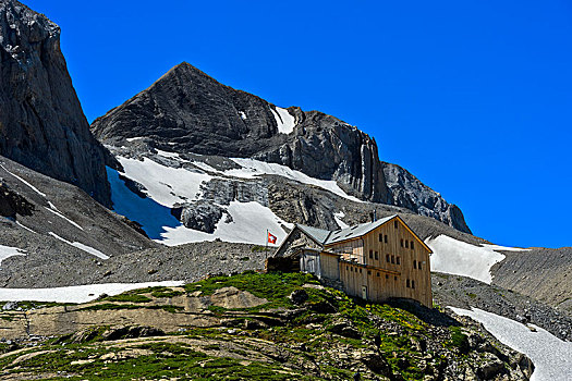 山丘,伯尔尼阿尔卑斯山,瑞士,欧洲