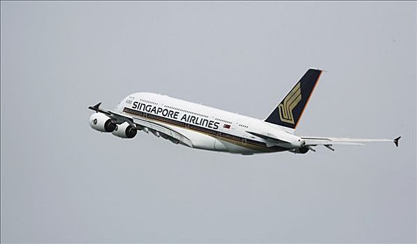 新加坡,空中客车,a380,设计,航线,风景,亚洲,宇航,2006年,展示