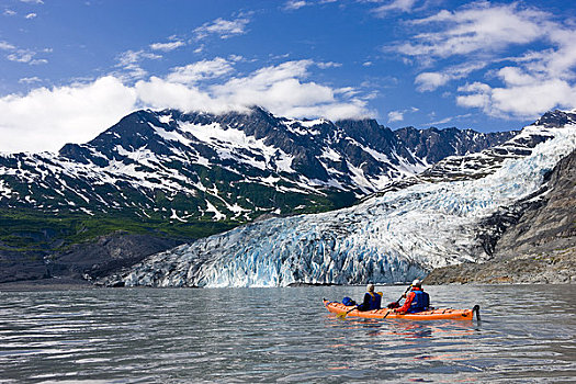 伴侣,漂流,湾,冰河,背景,威廉王子湾,阿拉斯加