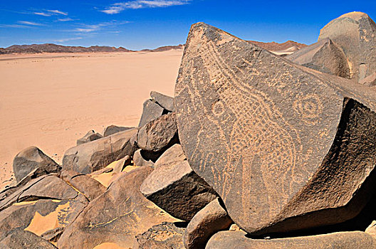 新石器时代,岩石艺术,长颈鹿,雕刻,国家公园,世界遗产,阿尔及利亚,撒哈拉沙漠,北非