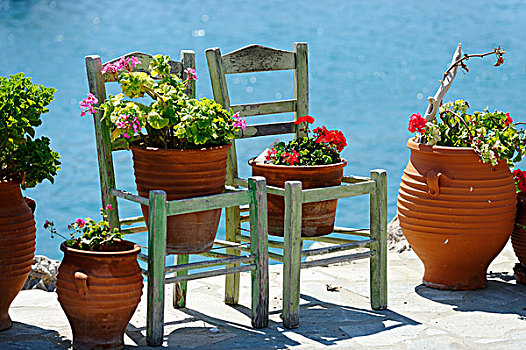 花盆,椅子,萨摩斯岛,爱琴海,南方,斯波拉提群岛,希腊,欧洲