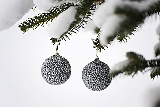 银,圣诞装饰,悬挂,积雪,常绿植物,枝条