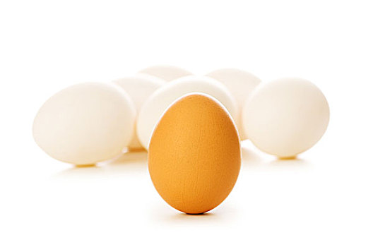 红皮鸡蛋,白色背景,浅,景深
