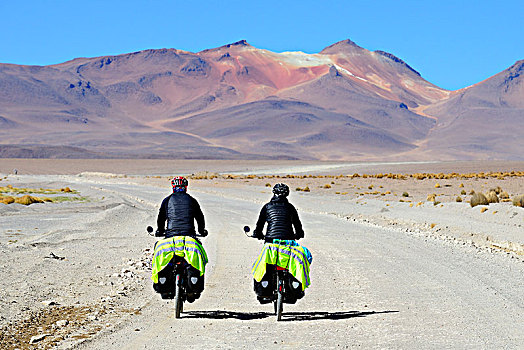 两个,骑车,行李,乘,赛道,泻湖,路线,动物,波托西地区,玻利维亚,南美