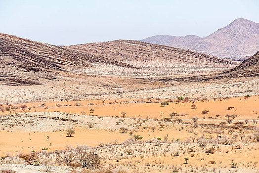 荒漠景观,农场,纳米比亚,非洲