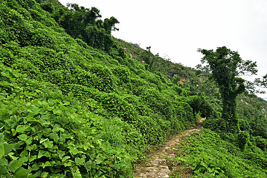 河北省石家庄平山县藤龙山风景区