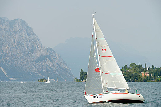 帆船,加尔达湖,省,维罗纳,威尼托,意大利
