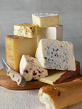 种类,奶酪,巴尔马干酪,蓝色,蔓越莓,白色,切达干酪,洛林,瑞士,山羊