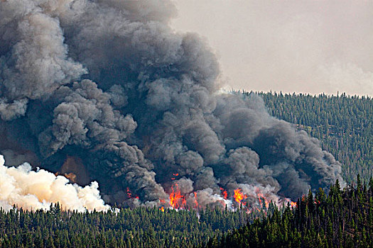 森林火灾,区域,不列颠哥伦比亚省,加拿大