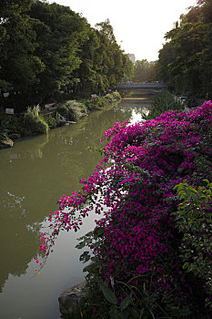 成都浣花溪公园