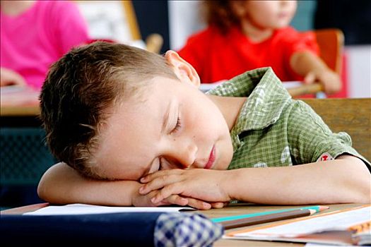 教室,肖像,小男孩,睡觉,书桌