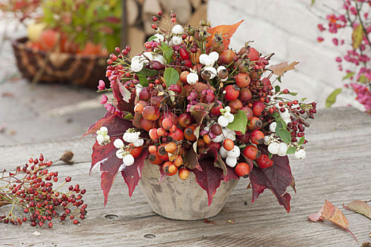 秋季花束,枝条,果品装饰,苹果树,粉色