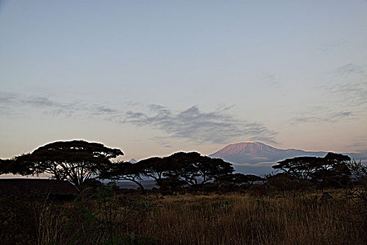 肯尼亚安博塞利眺望乞力马扎罗雪山