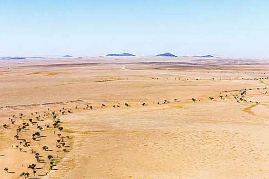 航拍,干枯河床,纳米布沙漠,纳米比诺克陆夫国家公园,纳米比亚,非洲