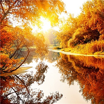 河,愉悦,秋日树林
