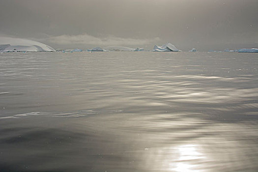 南极,湾,平滑,灰色,水,冰山,远景