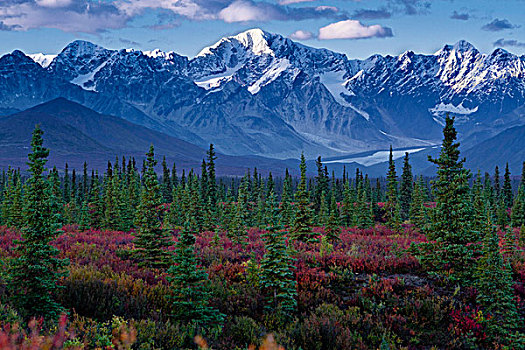 景色,阿拉斯加山脉,冰河,北方针叶林,风景,德纳里峰,公路,溪流,营地,室内,阿拉斯加,秋天