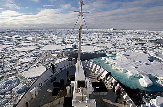 风景,浮冰,南大洋,船,英里,北方,东方,南极
