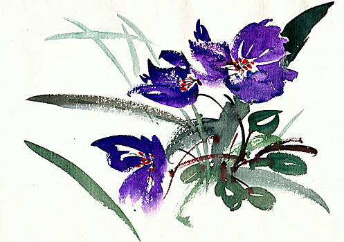 手繪花卉