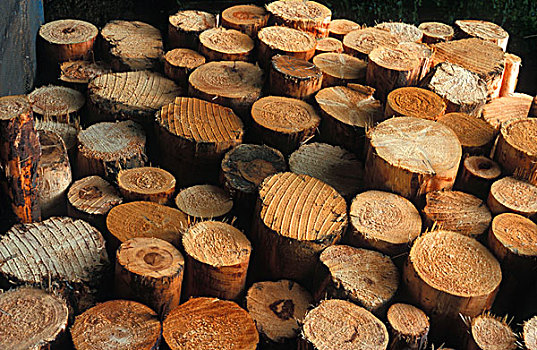 木材业