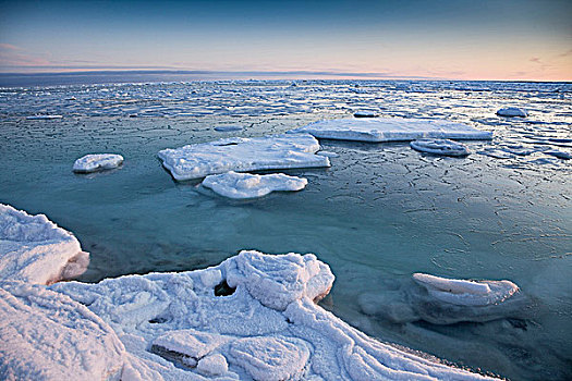 浮冰,海岸,哈得逊湾,靠近,河,河口,北方,丘吉尔市,曼尼托巴,加拿大
