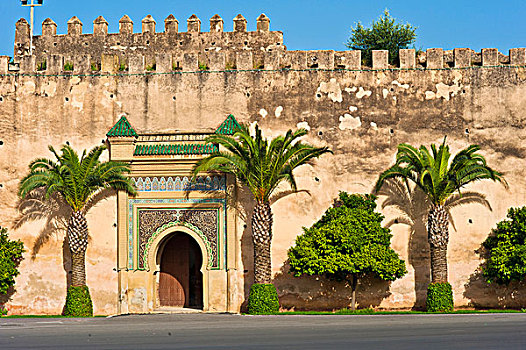 特色,大门,装饰,泥,砖,墙壁,棕榈树,树,皇宫,梅克内斯,摩洛哥,非洲