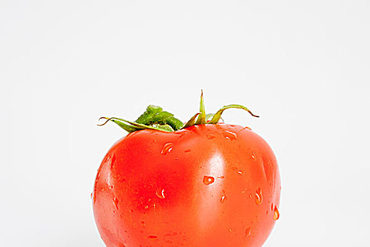 红番茄,番茄,西红柿,白色背景