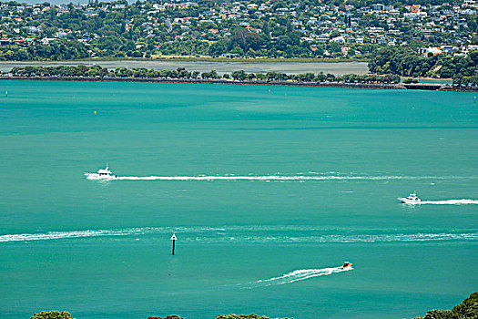 新西兰游艇