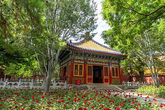 北京故宫,紫禁城,慈宁宫花园