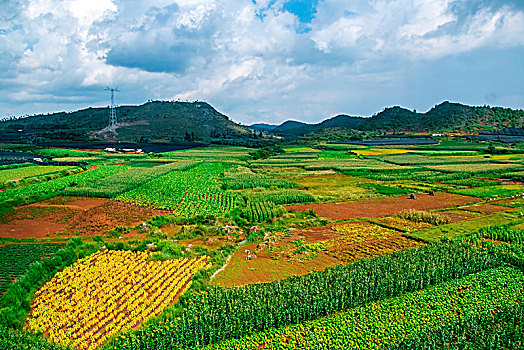 田园乡村