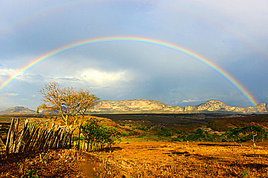 彩虹,国家公园,高原,区域,巴伊亚,东北方,巴西,南美
