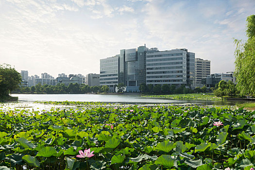 上海浦东张江高科技园区