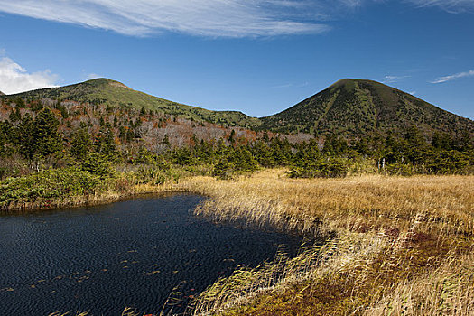 莲花池,山