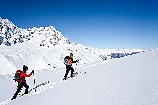 越野,滑雪者,上升,后面,山,冬天,正面,意大利,欧洲