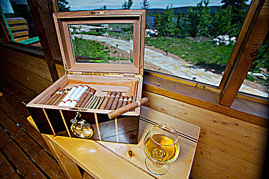 雪茄盒,玻璃杯,白兰地,门廊,住宿,南方,拉布拉多犬,纽芬兰,加拿大
