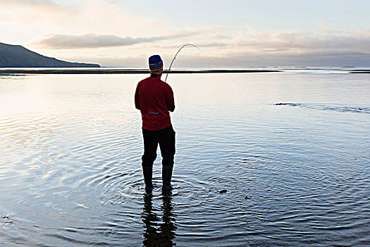 钓鱼,银鲑,湾,公园,阿拉斯加,半岛,西南方,美国
