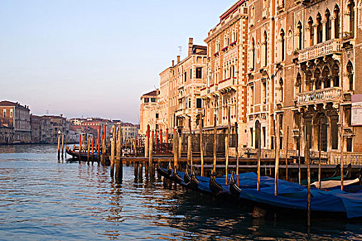 意大利,威尼斯,经典,大运河